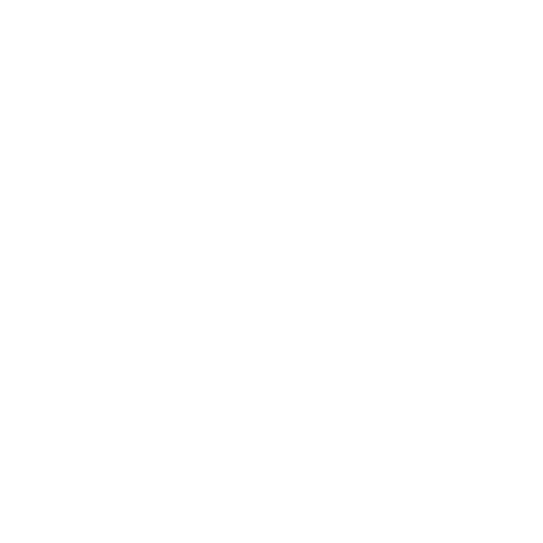 Fluxum logo