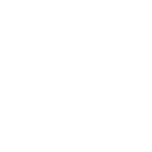 Fluxum logo